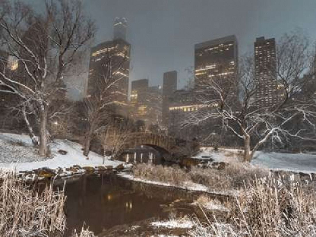 Central park with Manhattan skyline New York Canvas Art - Assaf Frank (18 x 24)