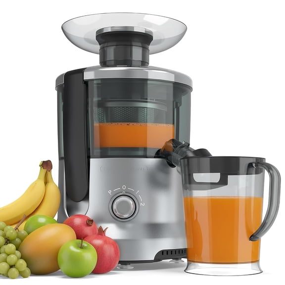 Centrifugal Juicer, 600W Juicer Machine with Feed Chute & 17,000 RPM, 3-Speed Juice Extractor for Whole Fruits Vegetables, Easy to Clean, BPA-Free, Silver