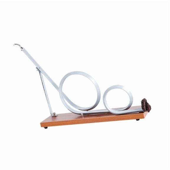 Centripetal Force Roller Coaster Model Physics Teaching Tool for Labs Experiment