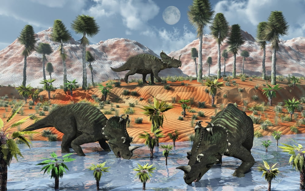 Centrosaurus dinosaurs at a watering place Canvas Art - Mark StevensonStocktrek Images (18 x 12)