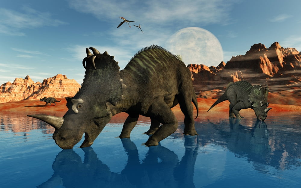 Centrosaurus dinosaurs grazing at a watering place Canvas Art - Mark StevensonStocktrek Images (36 x 23)