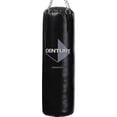 thumbnail image 1 of Century 100 lb. Vinyl Heavy Bag, 1 of 2
