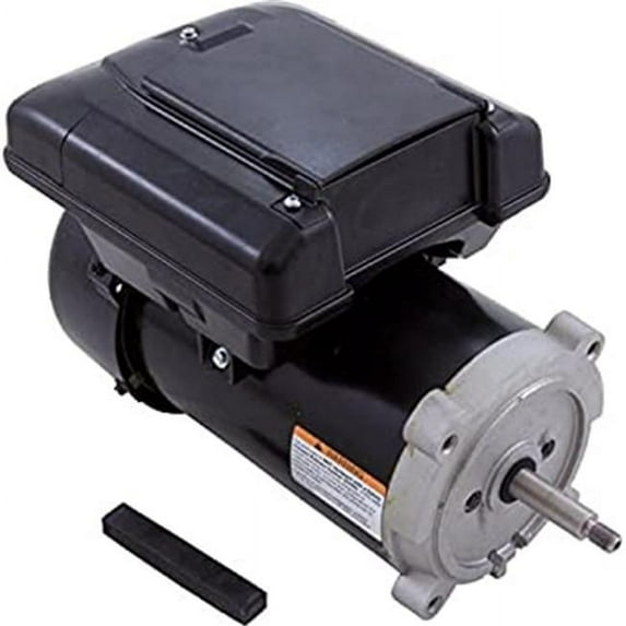 AO Smith Century VGreen 165 C-Face Variable Speed Pool Pump Motor 1.65HP 230V