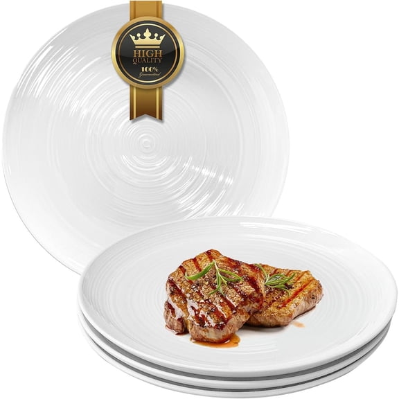 Ceramic 10 1/4 Inch White Dinner Plates Set of 4 Microwave Oven Dishwasher Safe Dish Porcelain Serving Plates for Kitchen Restaurant Stoneware Dishes for Party Beef Steak, Pasta Plate 10.25 in