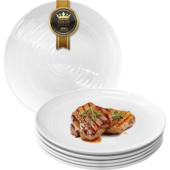 Ceramic 10 1/4 Inch White Dinner Plates Set of 6 Microwave Oven Dishwasher Safe Dish Porcelain Serving Plates for Kitchen Restaurant Stoneware Dishes for Party Beef Steak, Pasta Plate 10.25 in