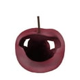 thumbnail image 1 of Shandy Polished Apple Decor, 1 of 2