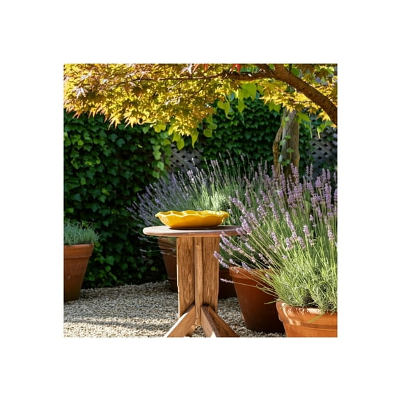 Ceramic Bird Bath Bowl - Decorative Ceramic Bird Feeder for Garden & Home - Outdoor Scalloped Water Dish with Bird Accents - 2" Yellow