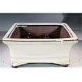 thumbnail image 1 of Ceramic Bonsai Pot, Beige - Rectangle, 1 of 1
