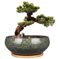 thumbnail image 1 of 8 inch Modern Round Ceramic Pot with Drainage Tray, Shallow Succulent Planter Pots for Plants like Bonsai Trees & Cacti Housewarming Gift Green, 1 of 7