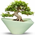 thumbnail image 1 of 13 inch Large Ceramic Bonsai Pot - Ceramic Planter with Drainage Hole for Indoor Plants Modern Succulent Garden Decor & Housewarming Gift Green, 1 of 8