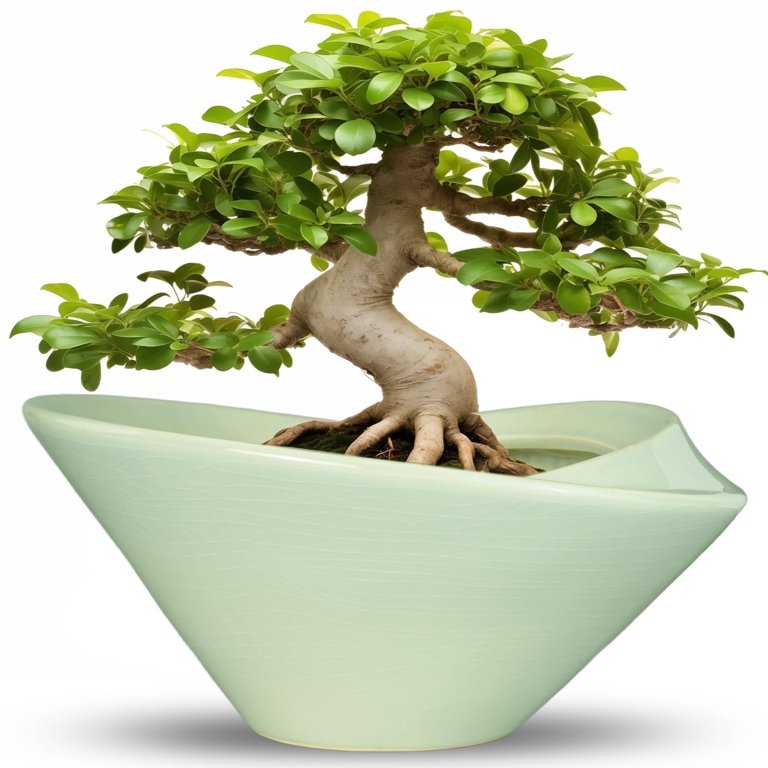 13 inch Large Ceramic Bonsai Pot - Ceramic Planter with Drainage Hole for  Indoor Plants Modern Succulent Garden Decor & Housewarming Gift Green -  Walmart.com