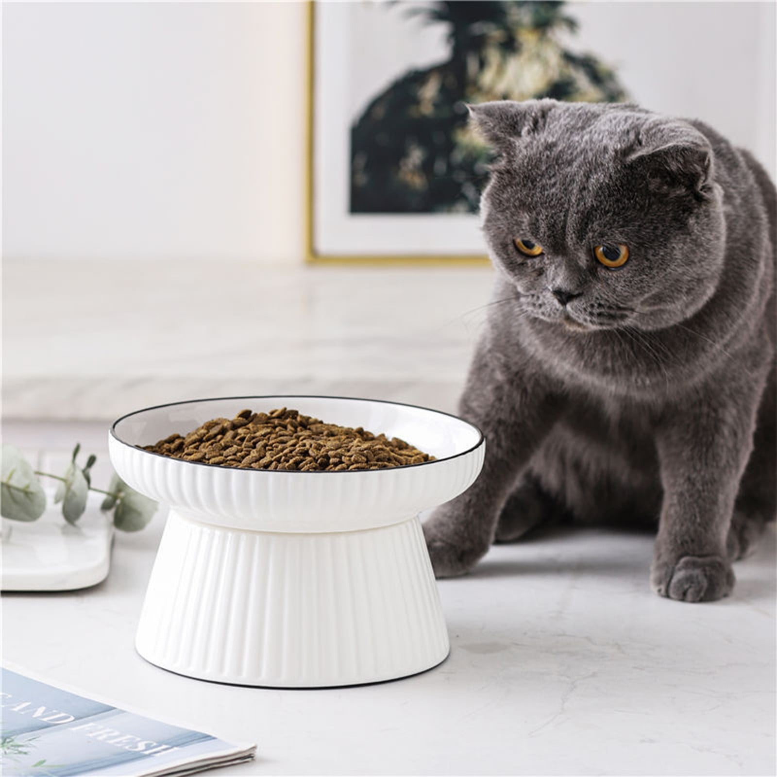 Ceramic Bowl Pet Bowl Cat Bowl Large High Foot Cat Grain Bowl Elevated