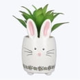 thumbnail image 1 of Ceramic Bunny Planter with Succulent, 1 of 1