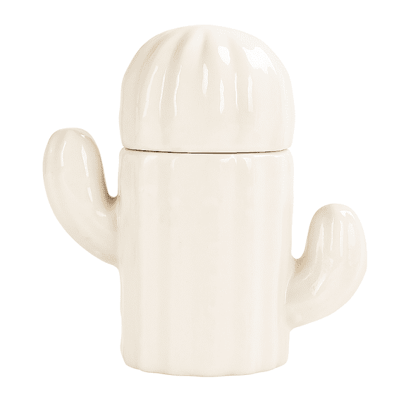 Ceramic Cactus Decorative Toothpick Holder - White Bathroom Cotton Swab Jar, Small Cactus Canister, Floss Container Cute Toothpick Floss Organizer for Kitchen Bathroom Decor(One Pcs)