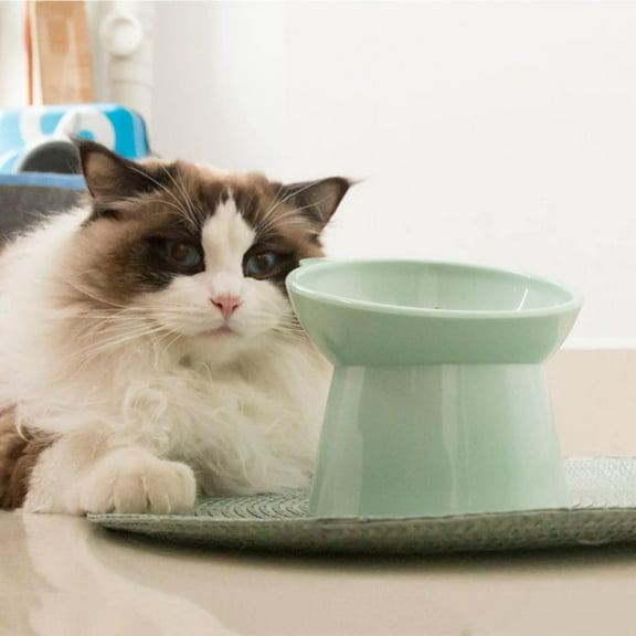 Elevated Ceramic Pet Bowl with Cat Ear Design for Whisker Fatigue Food and Water Feeder