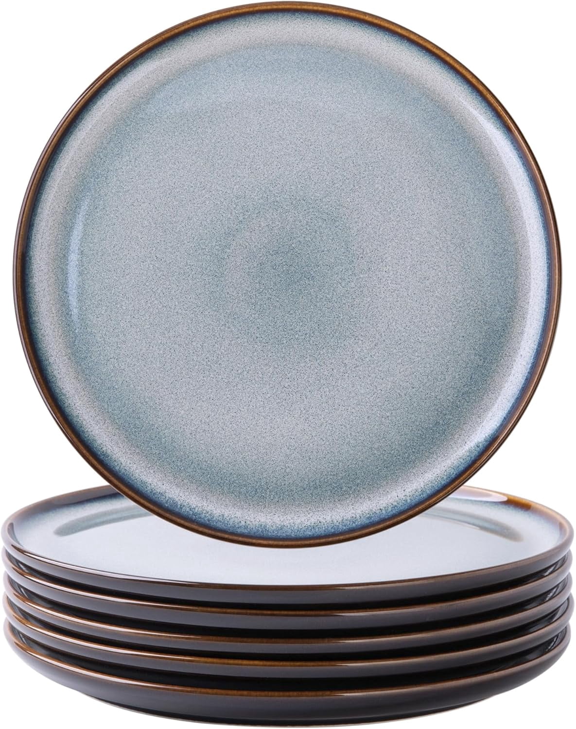 WENSHUO Daisy Dinner Plates Set Of 6 - 10.5" Round Matte Crème Ceramic Plates, Microwave Safe
