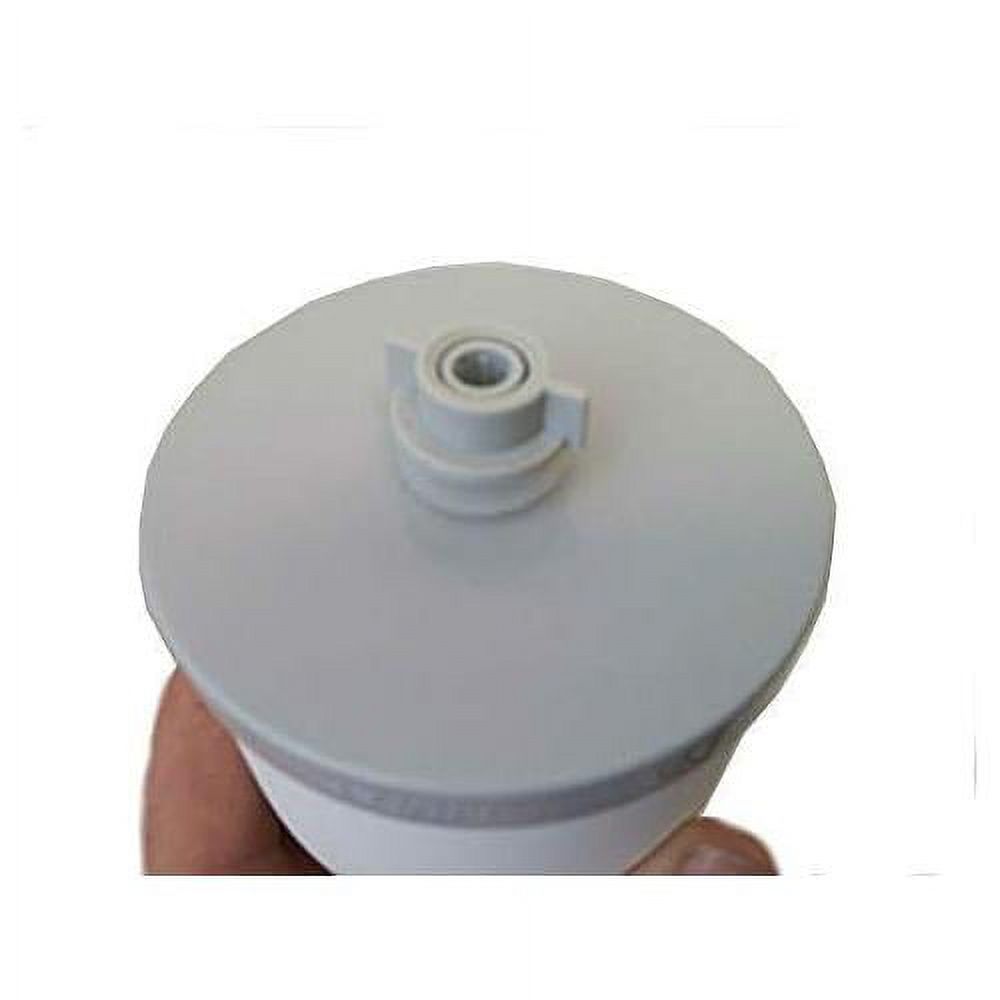 Ceramic Dome Water Filter Silver Impregnated With Active Carbon (2 Pack