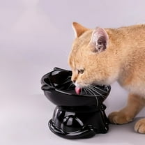 Ceramic Elevated Cat Bowls, 5 oz Extra Wide Raised Cat Bowls for Food Water, Shallow Cat Food Dish Whisker Friendly, Anti Vomit Cat Bowl Microwave and Dishwasher Safe (Black)