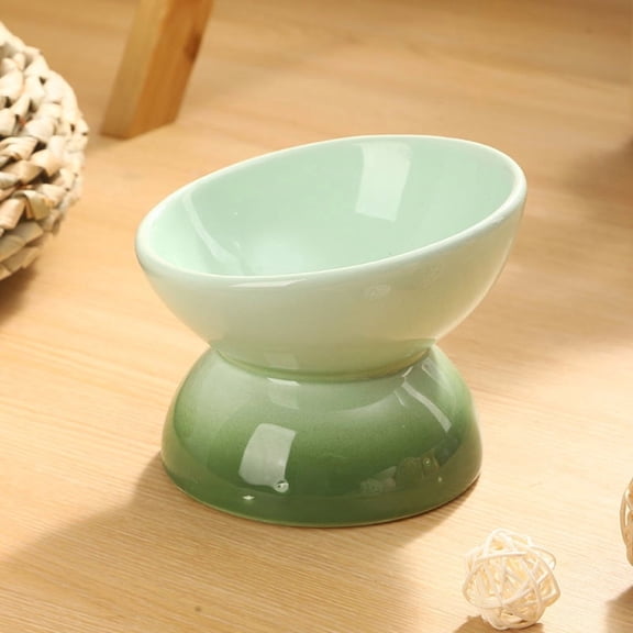 Ceramic Elevated Cat Bowls Tilted Cat Food Bowl Dish Pet Feeder Bowl Dishwasher Microwave Safe