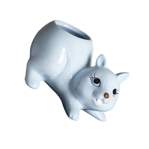 Ceramic Fleshy Plant Container Planter Squirrel Shape Window Box Cactuses Plant Container Gift for Mom Bedroom Desk