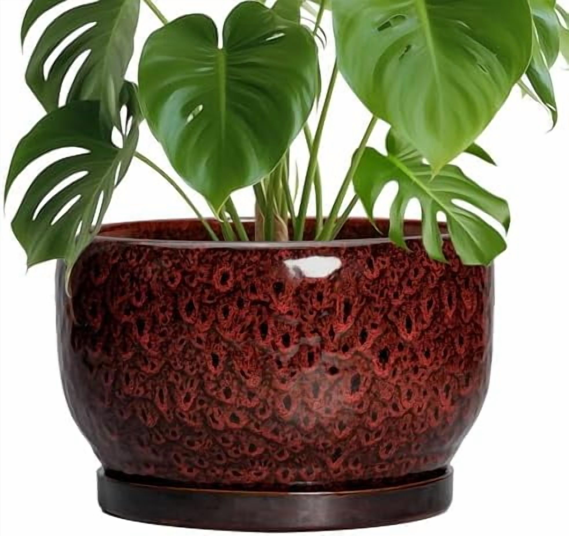 Ceramic Flower Pots - 10 Inch Plant Pot Indoor, Ceramic Planter with