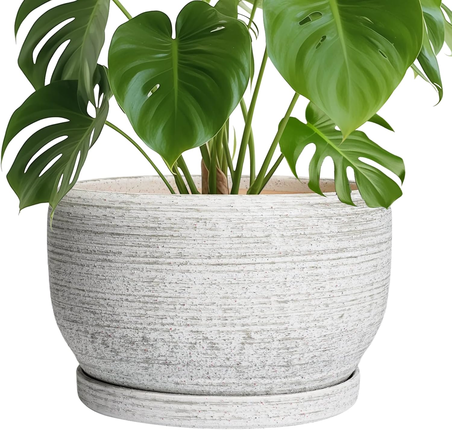 Ceramic Flower Pots - 10 Inch Plant Pot Indoor with Drainage Hole and ...