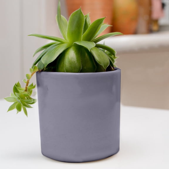 Ceramic Flower Pots with Drainage Hole, Cylindrical Plant Pot for Indoor Outdoor Plants, Small Cactus Pot for Home Garden Decor, Decorative Planter Pots for Succulents and Flowers 4.4"×4.9"
