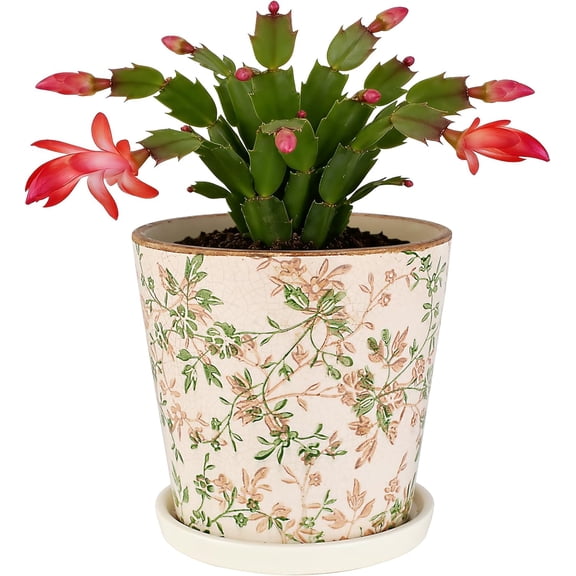 Ceramic Flower Pots For Indoor Plant, 5.5 Inch Small Ice Crack Plant Pots With Drainage Hole & Saucer, Decorative Vintage Planters For Succulent Herb Cactus Mint Basil, Garden Pot For Home Decor