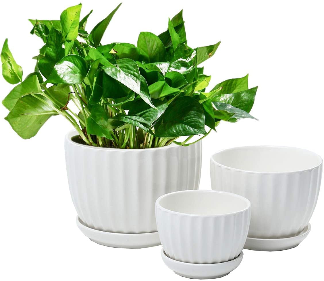  Lawei 4 Pack Ceramic Planter Pots - 6 Inch Flower Pots with  Drainage and Saucers, Round Succulent Pots White Garden Pots for Decorate  Home, Office, Outdoor : Patio, Lawn & Garden
