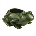 thumbnail image 1 of Ceramic Frog Planter, 1 of 2