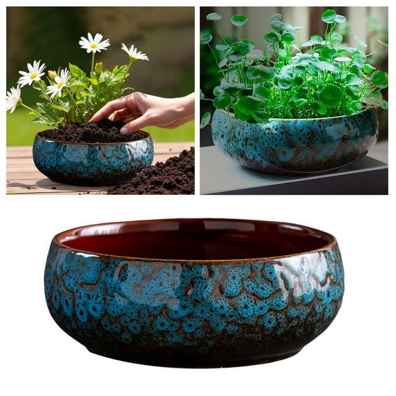 Ceramic Bowl Planter for Indoor Hydroponic Succulent Water Growing Container Pot