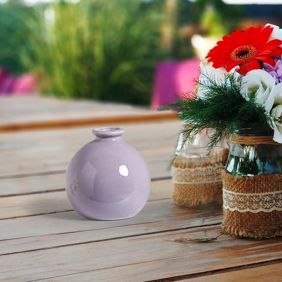 Ceramic Hydroponic Vase for Flowers - Tabletop Plants Vessel for Fresh Cut Bouquets Home Living Room Decor - Hydroponic Container for Dried or Fresh Stems - Modern Clear Glass Style Flower Holder