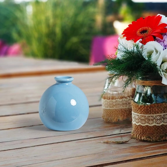 Ceramic Hydroponic Vase for Flowers - Tabletop Plants Vessel for Fresh Cut Bouquets Home Living Room Decor - Hydroponic Container for Dried or Fresh Stems - Modern Clear Glass Style Flower Holder