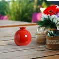 thumbnail image 1 of Ceramic Hydroponic Vase for Flowers - Tabletop Plants Vessel for Fresh Cut Bouquets Home Living Room Decor - Hydroponic Container for Dried or Fresh Stems - Modern Clear Glass Style Flower Holder, 1 of 6