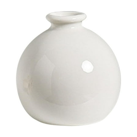 Ceramic Hydroponic Vase, Home Decor Flower Holder, Self-Watering Indoor Plant Pot for Living Room Foyer, Durable Eco-Friendly Material, Elegant Design, Long-, Gift Suitable