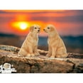 thumbnail image 1 of Ceramic Labrador Dog Salt and Pepper Shakers 3 1/8 Inch Gift, 1 of 3