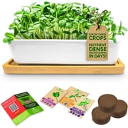 Ceramic Microgreens Growing Kit with Sunflower Melon Mixed Seeds