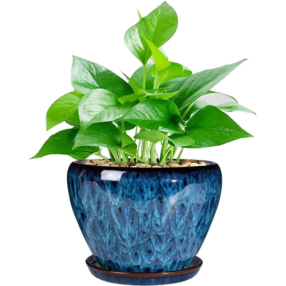 Ceramic Modern Glaze Succulent Planter Pot with Drainage Hole and Saucer 6 Inch Round Flower Plant Pot for Indoor Outdoor Herb Snake Plants