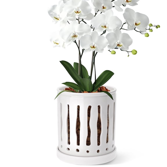 BUYMAX 6" Ceramic Orchid Pot with Slotted Drainage Holes and Tray,White