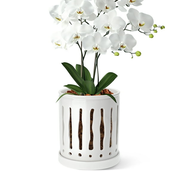 BUYMAX 6" Ceramic Orchid Pot with Slotted Drainage Holes and Tray,White