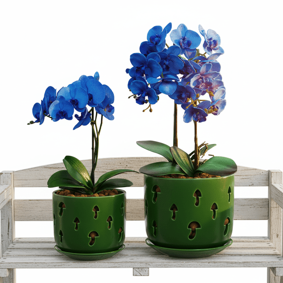 2 Pack, 5 + 6 inch green orchid pots with holes and removable trays, assist new plants or repotting
