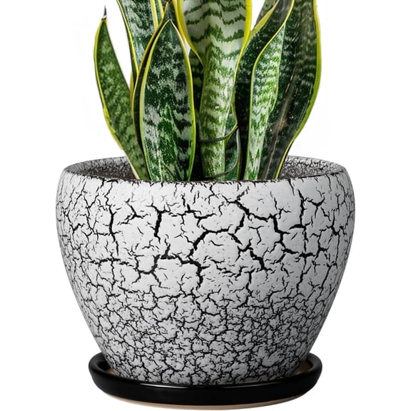 Ceramic Plant Pot 8 Inch, Glaze White and Black