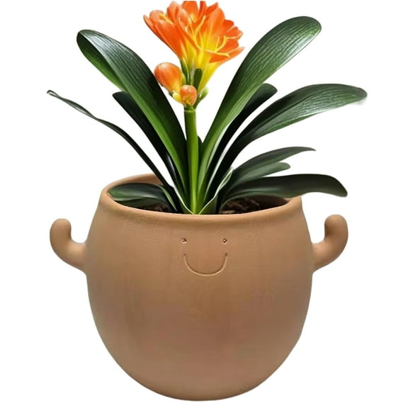 Ceramic Plant Pot Decorative Plant Pots Home Decoration Smiling Face Planter for Garden Balcony Bonsai Yard Men Desk,1 * smiling face flower pot,As Shown