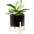 thumbnail image 1 of Ceramic Plant Pot with Stand 10 Inch Planter with Wood Shelf Modern Round Flower Pots Indoor with Wood Planter Holder Black Water Ripple Pattern, 1 of 8