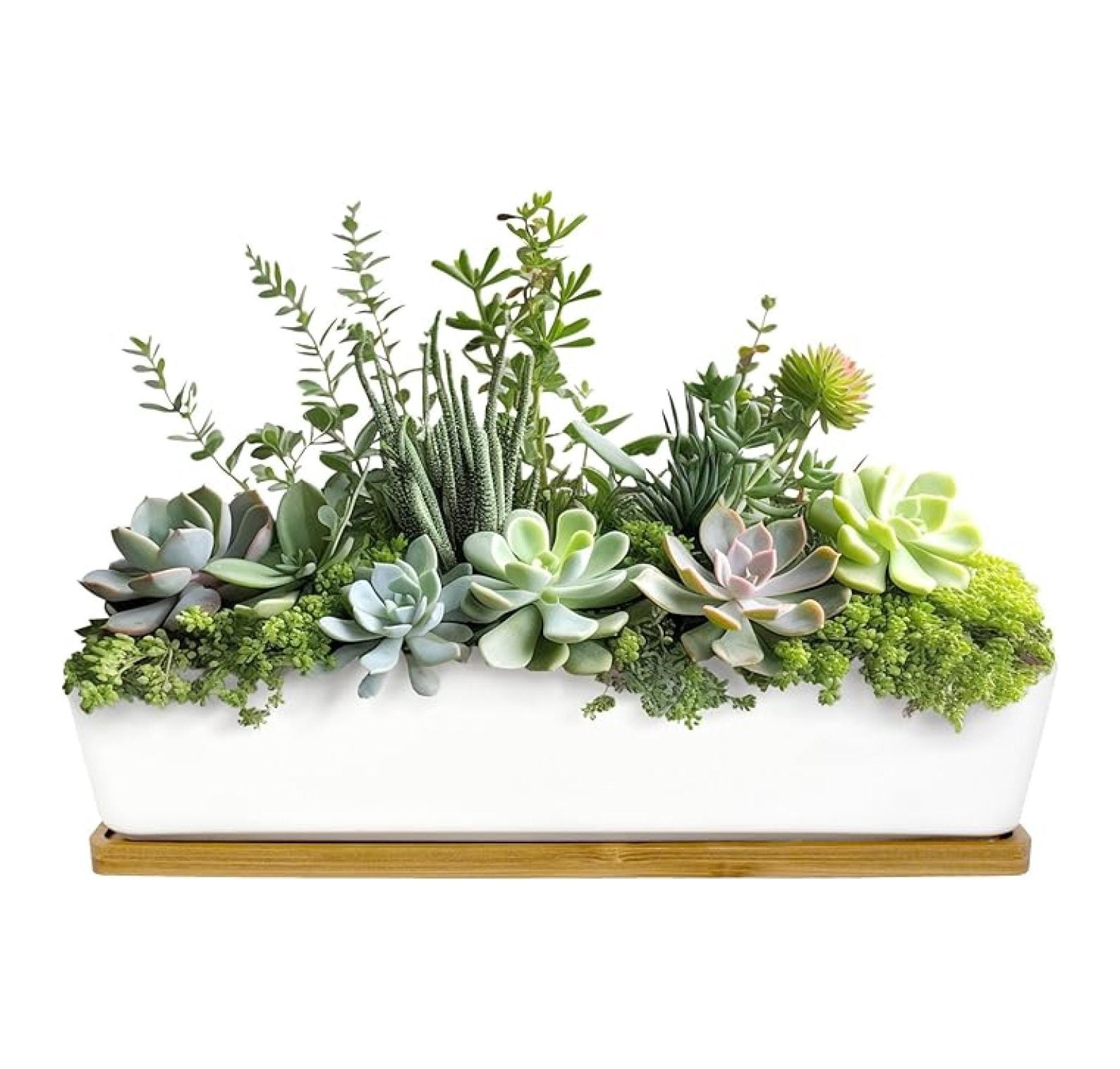 Ceramic Plant Pots - 11" Long Rectangle White Planter with Bamboo Tray - Indoor Succulent & Flower Pots - Boho Chic Decor - Modern Minimalist Design