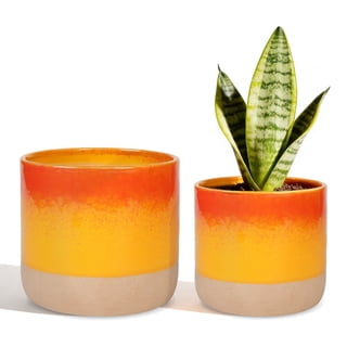 Ceramic Plant Pots 5" & 6" , Set of 2 in Orange and Red, Indoor Flower Pots with Drainage Hole for Succulents, Herbs, Home Decor