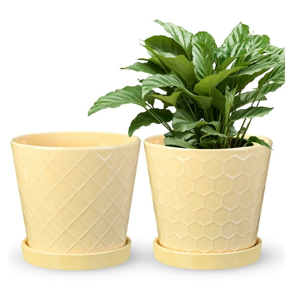 Ceramic Plant Pots, 6Inch Pots for Indoor Plants Set of 2, Planters with Drainage Holes and Ceramic Tray, Flower Pots Desktop Office Windowsill Decoration Gift - Beige