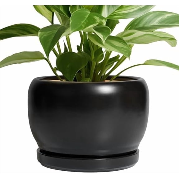 Ceramic Plant Pots - 8 Inch Planter Indoor, Round Flower Pot with Drainage Hole and Saucer, Modern Outdoor Planter, Apartment Decor, Gifts for Plant Lovers, Black