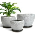 thumbnail image 1 of Ceramic Plant Pots Set of 3, 10+8+6 Inch Modern Round Flower Planters with Drainage Holes and Plant Saucers for Indoor Outdoor, Home Garden Room Porch Decor, Plant Lover Gifts, White-Black, 1 of 15