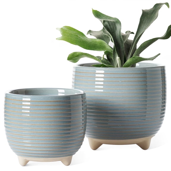 Ceramic Plant Pots